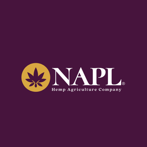 NAP Limited