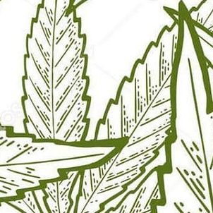 Ohio Marijuana
