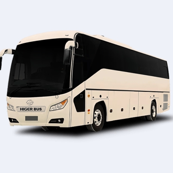 Royalplus Transport