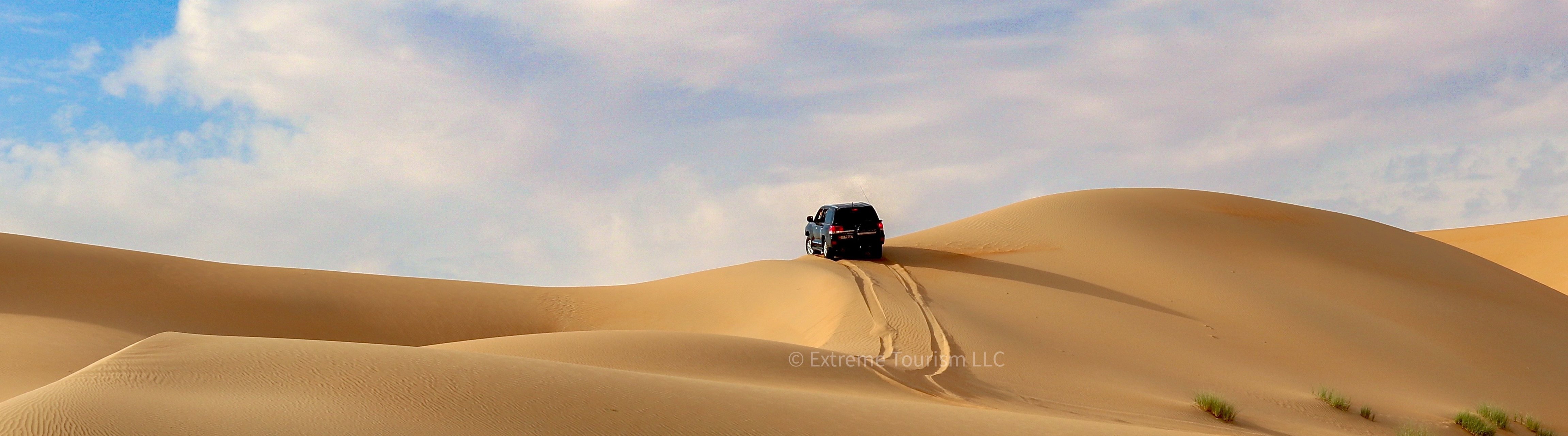 Liwa Desert  Safari