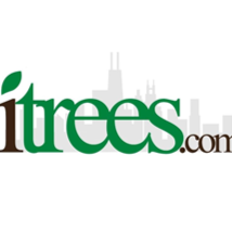 ITrees Naperville