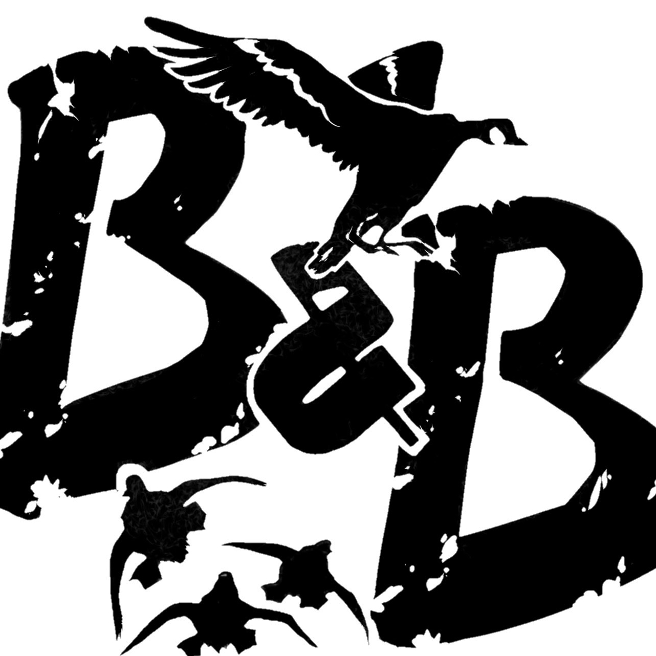 Birds  Outdoors