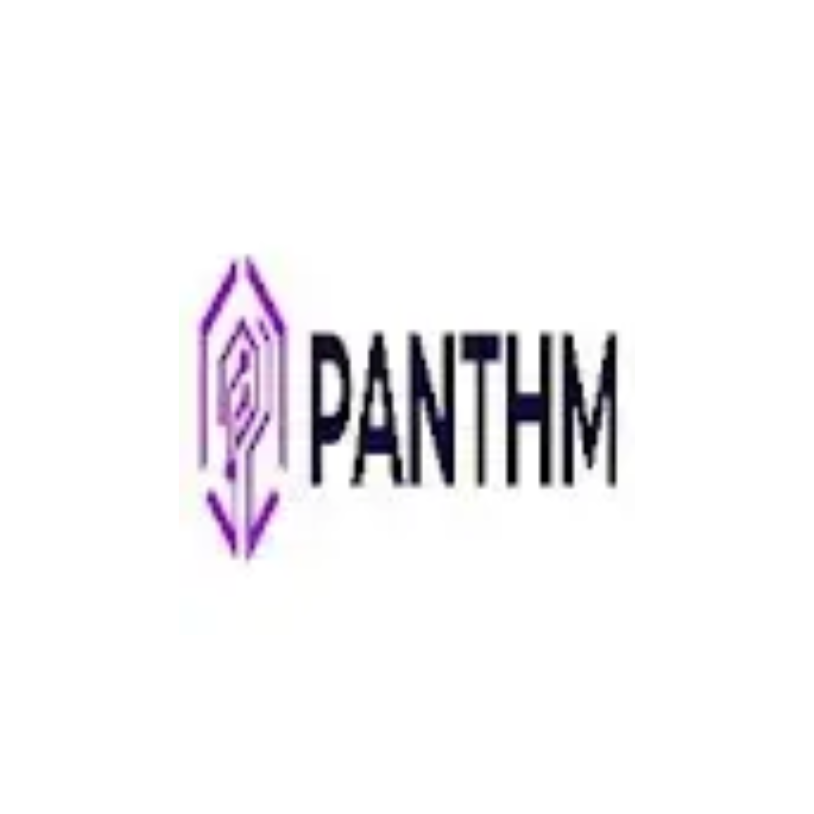 Panthm  AI  Labs	