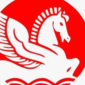 Singhal industries