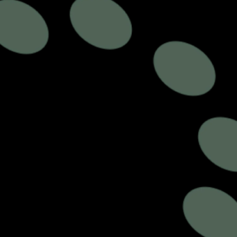 Experiment Five