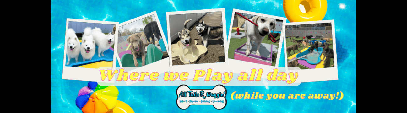 All Tails R Waggin