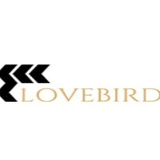 Eddy Lovebird