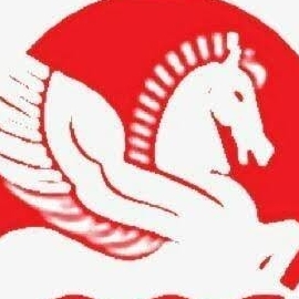Singhal Global