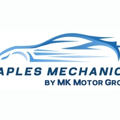 Naples Mechanics